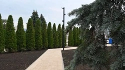 На благоустройство общественных пространств Чернянки направят более 55 млн рублей