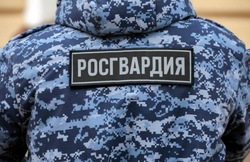 Почти 30 единиц оружия изъяли у жителей Белгородской области за неделю