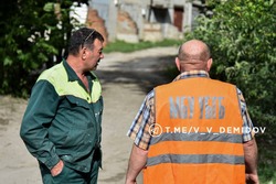 В Белгороде повторно отловят собак после инцидента с ребенком