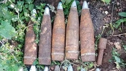 В Белгородской области тракторист обнаружил боеприпасы времен ВОВ