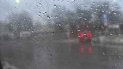 Кратковременные дожди с грозами и жару спрогнозировали в Белгородской области в субботу