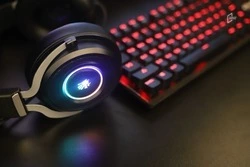 31 января белгородские киберспортсмены поборются за право представлять регион на арене ЦФО 