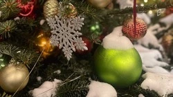 Пятиградусный мороз и небольшой снегопад ожидаются в Белгородской области в воскресенье