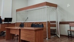 Двое жителей Шебекино отправились в колонию за сбыт автомата и патронов