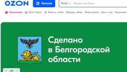На маркетплейсе Ozon создана специальная витрина «Сделано в Белгородской области»