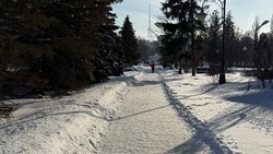 30-градусные морозы задержатся в Белгородской области во вторник