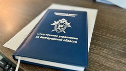 Пенсионер под Белгородом убил соседа, ломившегося в подъезд