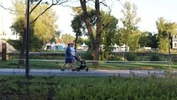 В Белгородской области с начала года родились 50 двоен и одна тройня