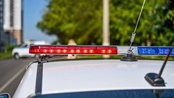 Жительница Старого Оскола хотела заказать проститутку для мужа, но нарвалась на мошенников 