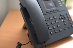 Белгородцы могут получить консультацию по профилактике клещевого энцефалита