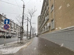 Мокрый снег с дождём ожидается в Белгородской области во вторник