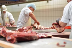 27 тонн белгородской свинины отправились в Китай 