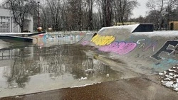 Скейт-парк в белгородском парке Ленина готов принимать любителей адреналина