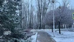 Туман, мокрый снег и гололедица ожидаются в Белгородской области во вторник 