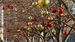 Пасмурная туманная погода ожидается в Белгородской области в среду