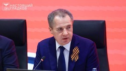 Гладков предложил контролировать незаконную вырубку лесов в приграничье с военной прокуратурой