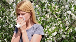 Эксперты рассказали белгородцам, как защитить себя от аллергии на тополиный пух 
