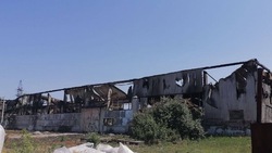 Гладков поручил объяснить пострадавшим от обстрелов ВСУ предприятиям порядок получения выплат