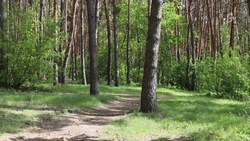 Особый противопожарный режим в Белгородской области продлён до 1 июня
