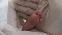 Трое Добрыней Никитичей родились в Белгородской области в январе 