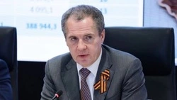 Вячеслав Гладков проведёт большую прямую линию 29 апреля