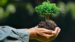 Белгородцы смогут поучаствовать в конкурсе  «Экология – дело каждого»