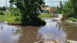 Улица Почтовая в Белгороде ушла под воду после дождя 