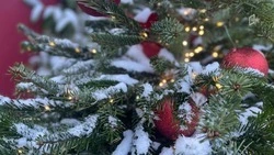 Слабый снег и гололедица ожидаются в Белгородской области в рождественский сочельник