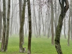 Белгородскую область ждут температурные качели: от ночных заморозков до дождливых оттепелей