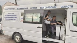 Белгородцы бесплатно привили более 250 домашних животных от бешенства за две недели