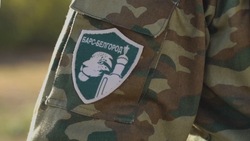 Добровольцам отряда «Барс-Белгород» будут ежемесячно выплачивать по 45 тыс. рублей
