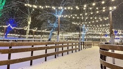 Открытые катки в Белгороде завершили работу