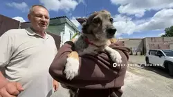 Потерянную во время пожара в атакованном МКД Белгорода вернули хозяйке