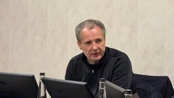 Гладков пообещал наградить задержавших беглеца Кострикина военнослужащих