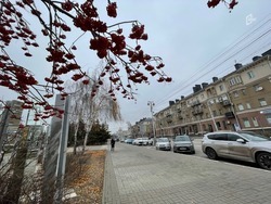 Облачная погода и до трёх градусов мороза ожидают белгородцев в четверг
