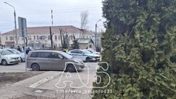 В центре Белгорода произошла авария с участием машины ДПС