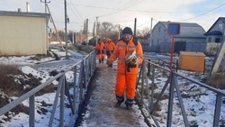 В Белгороде готовятся к «температурным качелям» и голодёду