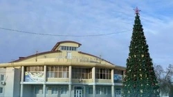 Белгородские муниципалитеты начали готовиться к установке новогодних ёлок 