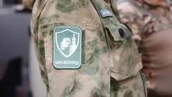 Вячеслав Гладков объяснил, почему в «Барс-Белгород» не принимают бойцов старше 45 лет