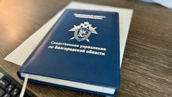Главврач Алексеевской ЦРБ обвиняется в хищении бюджетных средств на сумму более 770 тысяч рублей 