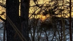 Суровый мороз в Белгородской области начнёт отступать в среду