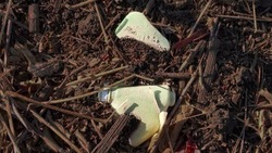 Саперные группы приступили к разминированию полей Белгородской области