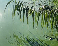 Белгородцам предлагают проголосовать за водоёмы, которые расчистят в 2026 году