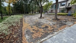 В Центральном парке Белгорода снесли шахматную беседку 