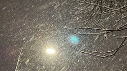 Моросящие осадки пройдут в Белгородской области в четверг