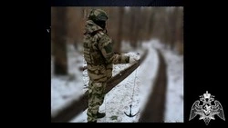 Росгвардейцы обезвредили американскую кассетную мину ВСУ в белгородском приграничье