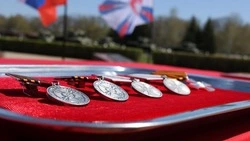 В Белгородской области наградили военных полицейских группировки «Север»