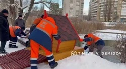 Собственный домик получил оставшийся на зимовку в Белгороде краснокнижный лебедь