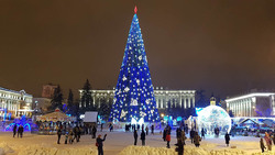 Губернатор Белгородской области предложил сделать 31 декабря выходным днём