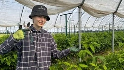 242 трудовых лагеря заработают в Белгородской области этим летом